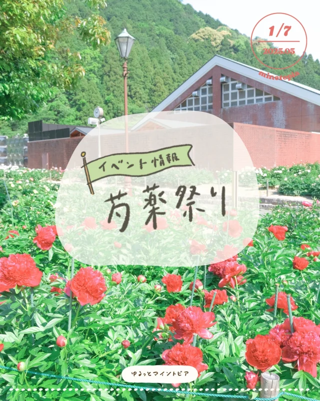 Instagram 投稿 18069339757941673